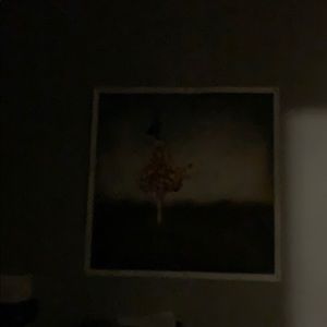 Meet your Posher, Nicolette